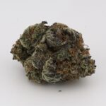 Amnesia Mac