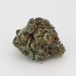 Amnesia Mac - Image 2