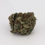 Amnesia Mac - Image 3