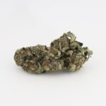 Starfruit Skunk - Image 2
