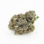 Kamikaze Kush