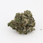 Kamikaze Kush - Image 3