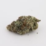 Cactus Jack - Image 2