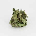 Black Manba - Image 2