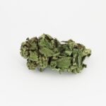 Black Manba - Image 3