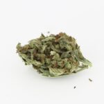 Loud - Image 2