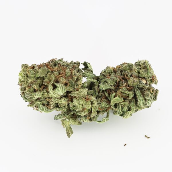 Loud