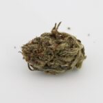Durban Biscotti - Image 3